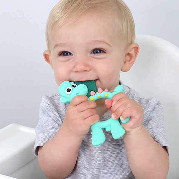 Dawn the Dinosaur Teether by Bibado