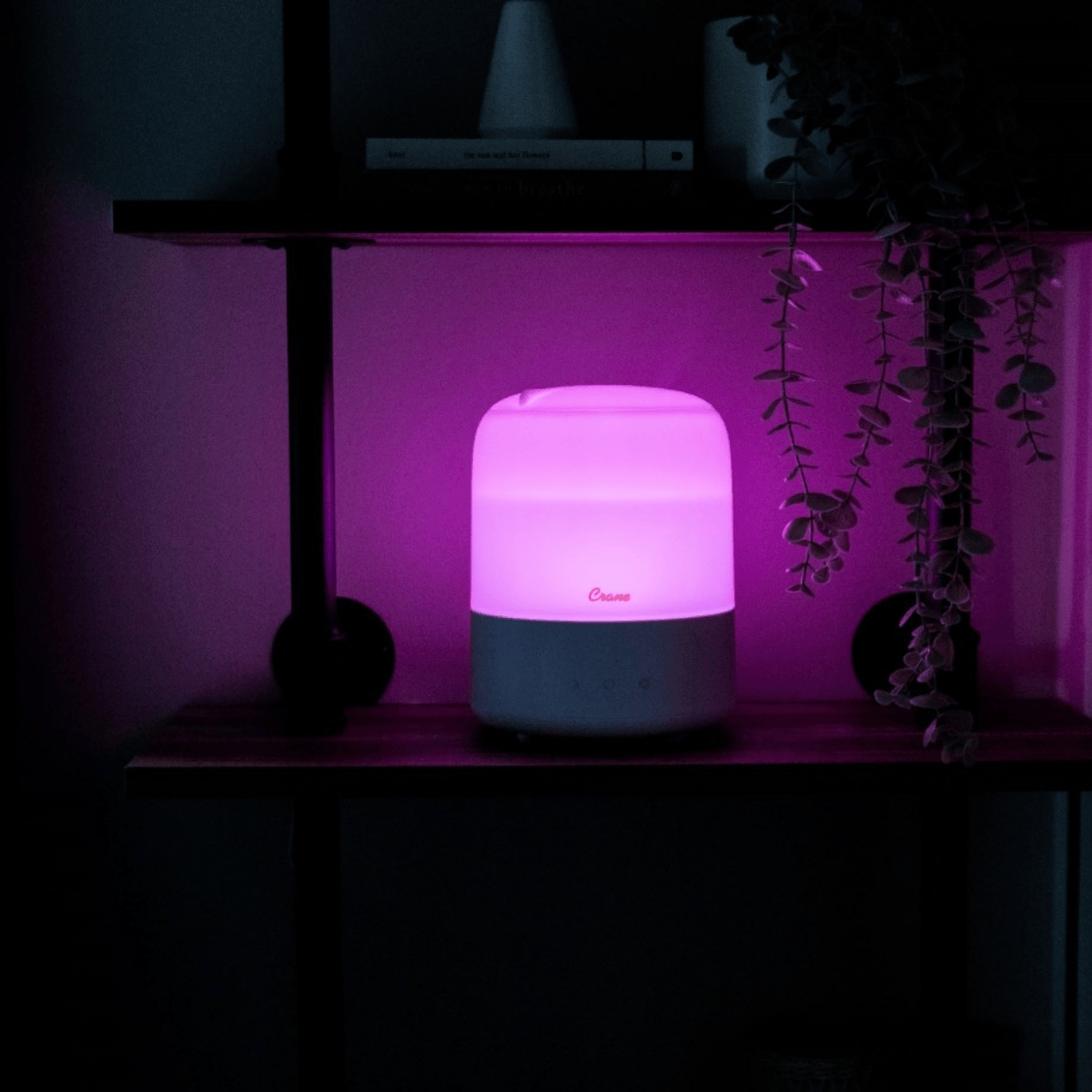 Purple glowing cylindrical device on a dark surface with a plant in the background