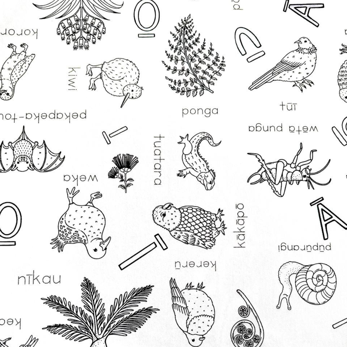 Pattern of NZ birds and animals on colouring in tableloth 