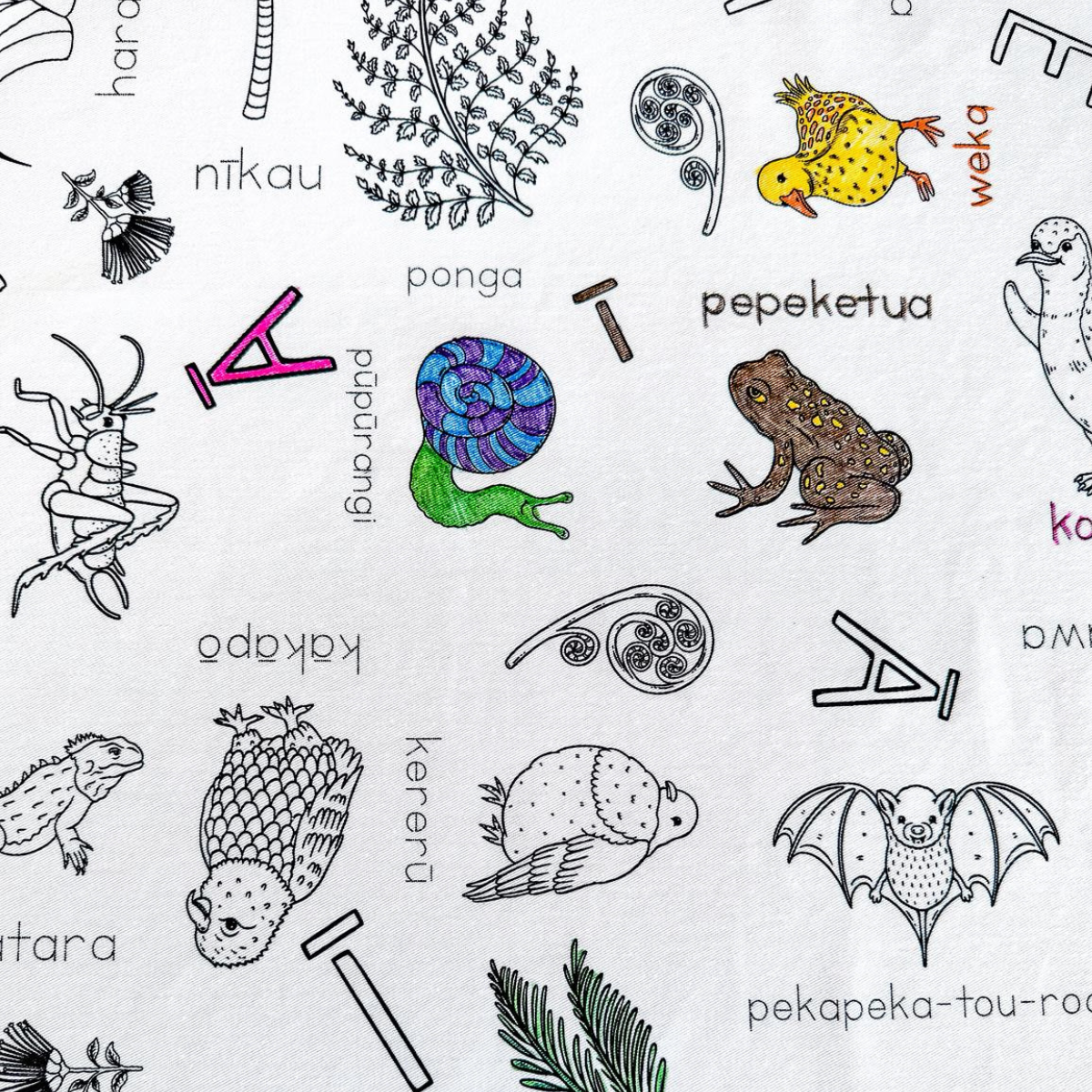 Illustrations of various New Zealand Native animals and plants with corresponding names on a white background.