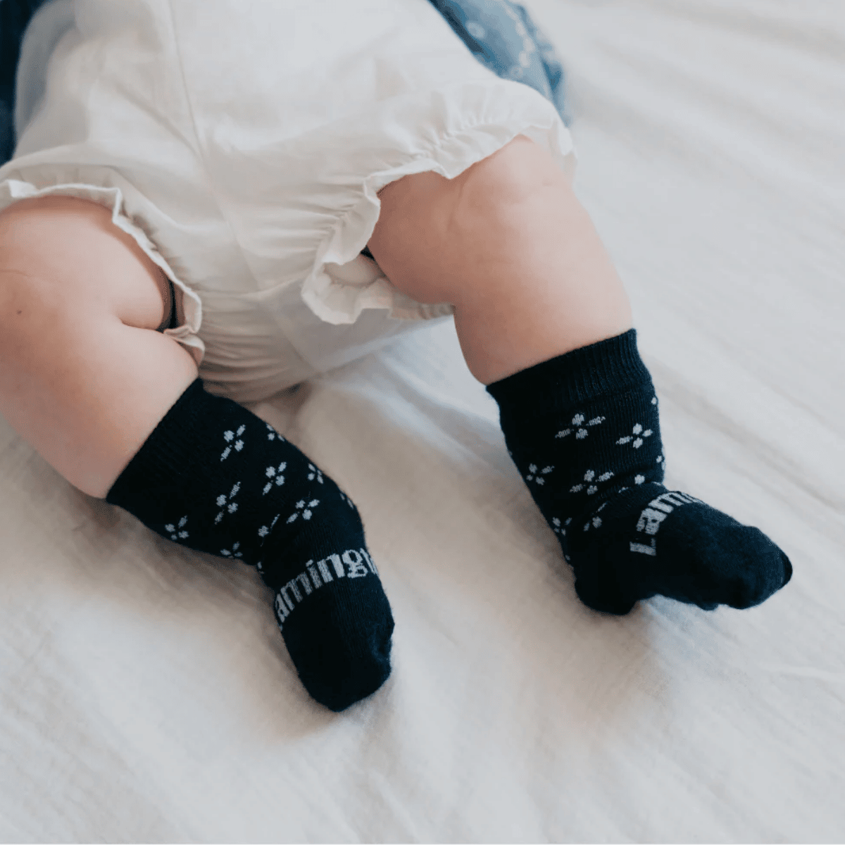 Lamington- Crew Merino Socks