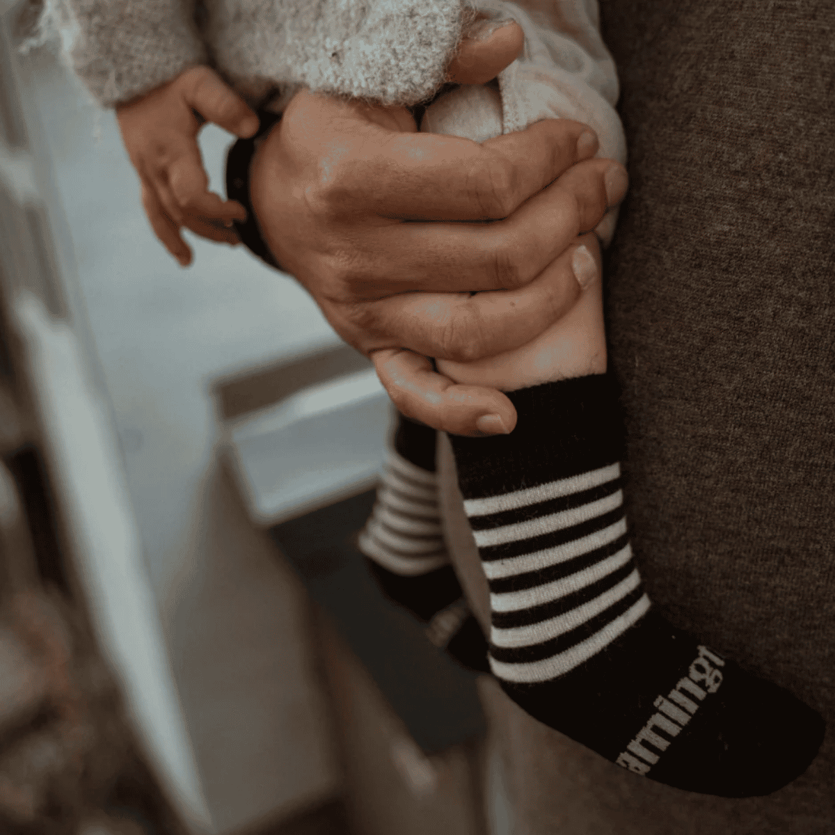 Lamington- Crew Merino Socks