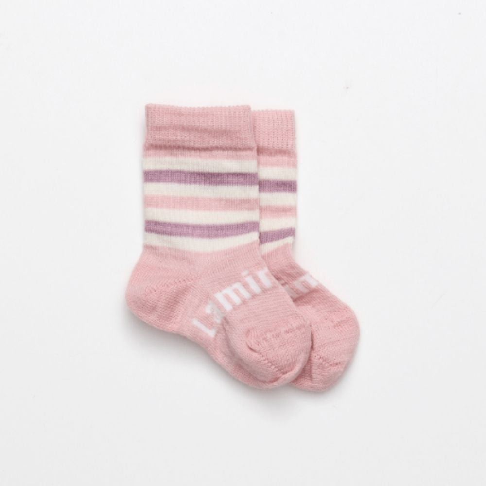 Lamington- Crew Merino Socks Clearance