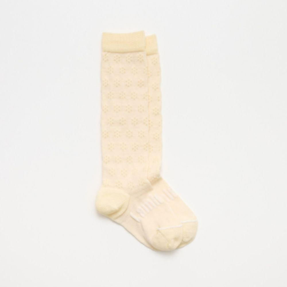 Lamington - Knee High Merino Socks Clearance