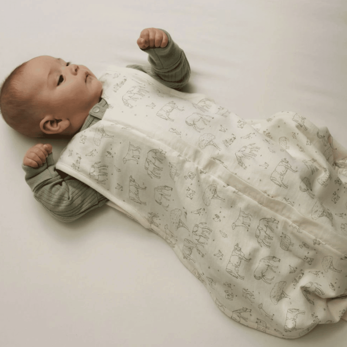 Woolbabe 3 seasons in Farmyard design
