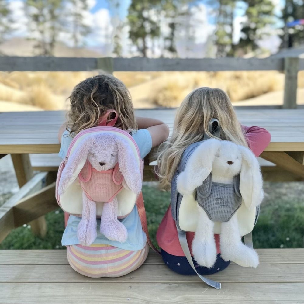 Two girls on an adventure with their Chai Baby Backpacks and toys in the backpack carrier.