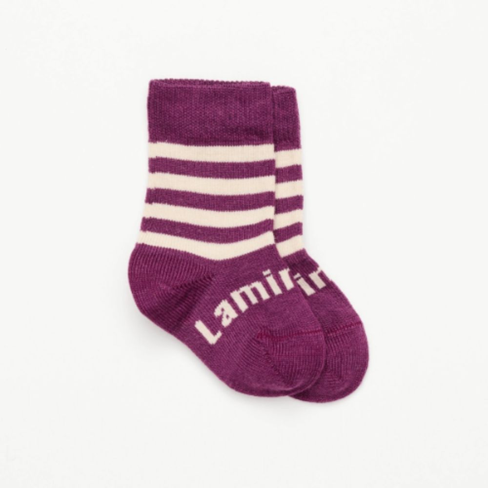 Lamington- Crew Merino Socks