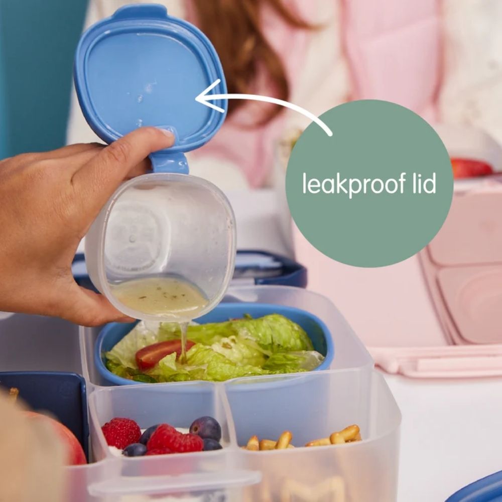 snack-tubs-leakproof-lid