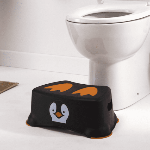 My Carry Potty  - Toilet Training Step Stool